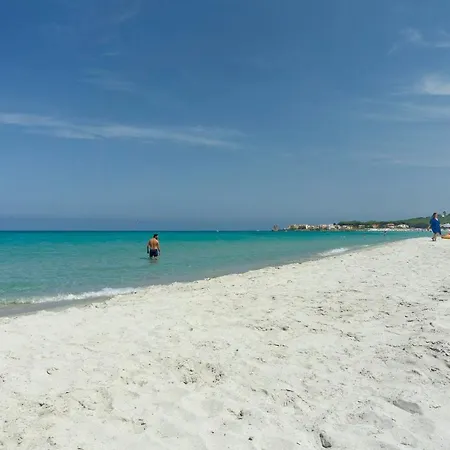 Flat Near Beach No 50