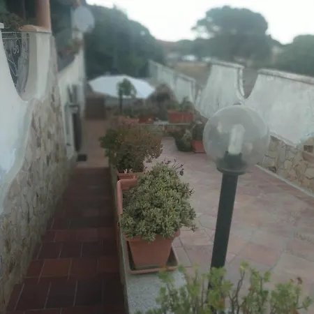 Flat Near Beach No 50